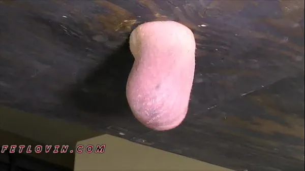 Show Testicle Boxing Paradise - Low Res Sample warm Clips