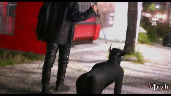 Show Master takes his pet dog for a walk in the City. P1 warm Clips
